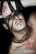 E-Book (epub) The Male Concubine von Chris Bellows