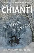 E-Book (epub) Wicked Winter von Christine Chianti
