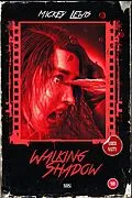 E-Book (epub) Walking Shadow (A Stone/Darke Mystery, #1) von Mickey Lewis