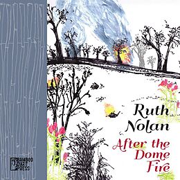 eBook (epub) After the Dome Fire de Ruth Nolan