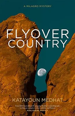 E-Book (epub) Flyover Country von Katayoun Medhat