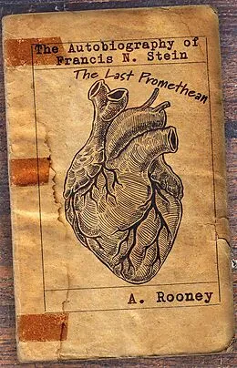 E-Book (epub) Autobiography of Francis N. Stein von A. Rooney