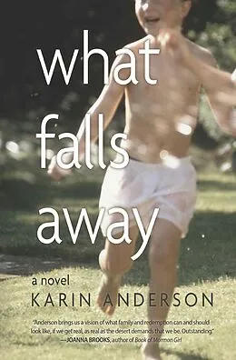 E-Book (epub) What Falls Away von Karin Anderson