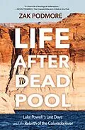 E-Book (epub) Life After Dead Pool von Zak Podmore