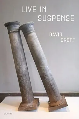 E-Book (epub) Live in Suspense von David Groff