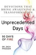 E-Book (epub) Unprecedented Days: 90 Days of Fire von Zach Prosser