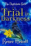 E-Book (epub) Trial in Darkness von Renee Hewett