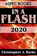 E-Book (epub) In a Flash 2020 von Christopher J. Burke
