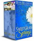 E-Book (epub) Sweetgrass Springs Boxed Set Books 7-9 von Jean Brashear