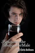 E-Book (epub) Feminizing The Belligerent Male von Chris Bellows