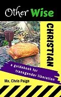 E-Book (epub) OtherWise Christian von Mx Chris Paige