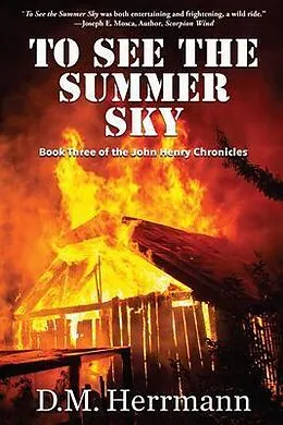 E-Book (epub) To See the Summer Sky von D. M. Herrmann