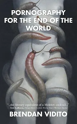 E-Book (epub) Pornography for the End of the World von Brendan Vidito