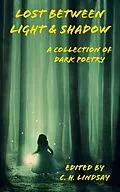 E-Book (epub) Lost Between Light & Shadow von Unknown
