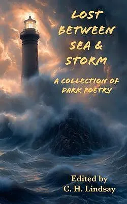 E-Book (epub) Lost Between Sea & Storm von C. H. Lindsay, Maya Bohnhoff, Kevin Wasden