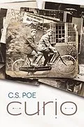 E-Book (epub) Curio von C. S. Poe
