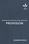 E-Book (epub) Provision von Shawn Bolz