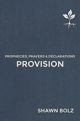 E-Book (epub) Provision von Shawn Bolz