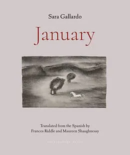 E-Book (epub) January von Sara Gallardo
