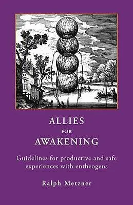 E-Book (epub) Allies For Awakening von Ralph Metzner