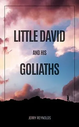 E-Book (epub) LITTLE DAVID AND GOLIATHS von Jerry Reynolds