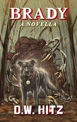 E-Book (epub) Brady von D. W. Hitz