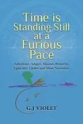 E-Book (epub) Time Is Standing Still at a Furious Pace von G. J. Violet