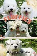E-Book (epub) Fluffies von Nancy Przybylowicz