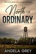 E-Book (epub) North of Ordinary von Angela Grey