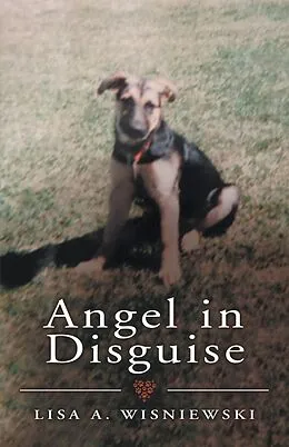 E-Book (epub) Angel in Disguise von Lisa A. Wisniewski