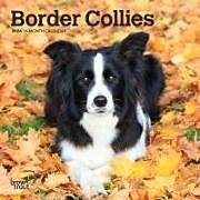 Calendrier BORDER COLLIES 2024 MINI 7X7 de 