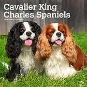 Calendrier Cavalier King Charles Spaniels 2024 Square de 