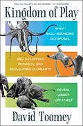 E-Book (epub) Kingdom of Play von David Toomey