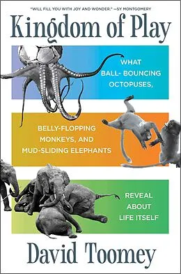 E-Book (epub) Kingdom of Play von David Toomey