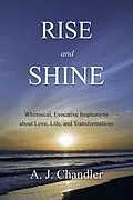 E-Book (epub) Rise and Shine von A. J. Chandler