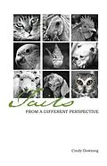 E-Book (epub) Tails from a Different Perspective von Cindy Downing