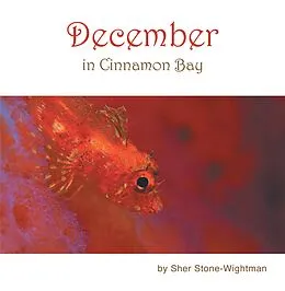 E-Book (epub) December in Cinnamon Bay von Sher Stone-Wightman