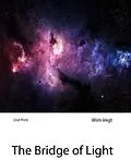 E-Book (epub) The Bridge of Light in Quantum Physics von Wim Vegt