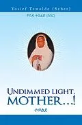 E-Book (epub) Undimmed Light, Mother...! von Yosief Tewolde