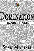 E-Book (epub) Domination von Sean Michael