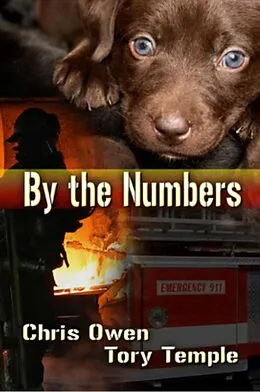 E-Book (epub) By The Numbers von Chris Owen, Tory Temple