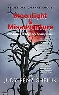 E-Book (epub) Moonlight & Misadventure: 20 Stories of Mystery & Suspense von Judy Penz Sheluk