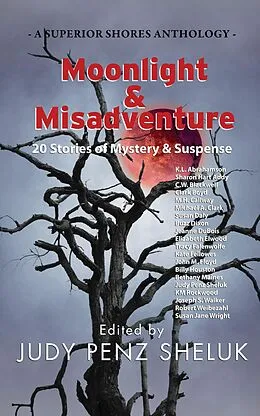 E-Book (epub) Moonlight & Misadventure: 20 Stories of Mystery & Suspense von Judy Penz Sheluk