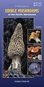 Couverture cartonnée A Field Guide to Edible Mushrooms of the Pacific Northwest de 