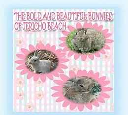 E-Book (epub) The Bold and Beautiful Bunnies of Jericho Beach von Kong