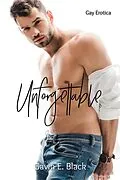E-Book (epub) Unforgettable: Gay Erotica von Gavin E. Black
