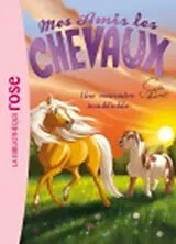 Broschiert Mes amis les chevaux. Vol. 6. Une rencontre inoubliable von Sophie Thalmann