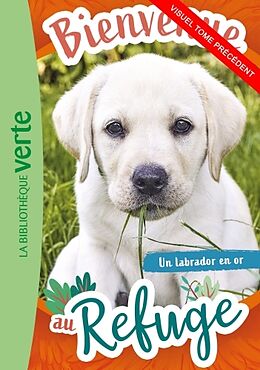 Broschiert Bienvenue au refuge. Vol. 9. Le plus beau des chats ! von Pascal Ruter