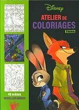 Broschiert Atelier de coloriages teens : merveilleux animaux : 40 scènes von 
