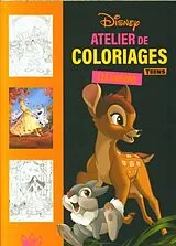 Broschiert Atelier de coloriages teens : les saisons von 